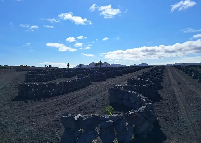 El Lagar شقة San Bartolomé